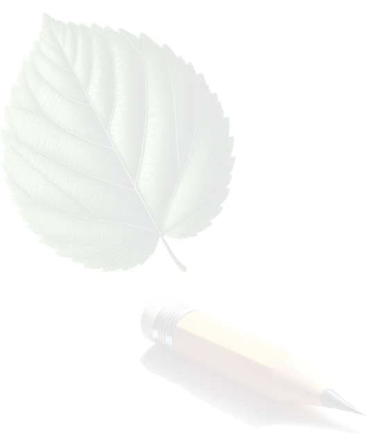Équilibre entre nature et savoir : feuille verte et crayon symbolisant la naturopathie et l'éducation à la santé