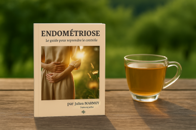 Couverture du livre "Endométriose – Le guide pour reprendre le contrôle" de Julien Naturopathe